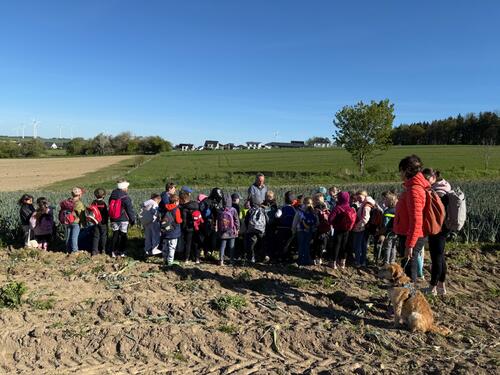 Porreeernte mit Landwirt Böhner